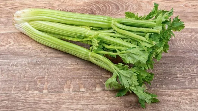 Benefits of Celery for Kidney Health and How to Consume It